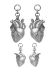 Anatomica Dangles