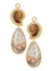 Ammonite Laguna Agate Dangles