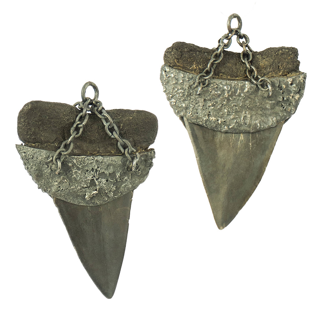 Jade Baby Megalodons β Jimmy Buddha Designs