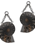 Black Obsidian Floating Ammonites