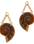 Faceted Black Obsidian Brown Floating Ammonites