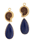 Lapis Ammonites