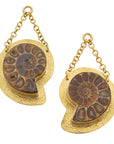 Ammonites 34-60mm