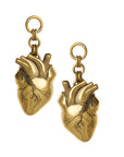 Anatomica Dangles