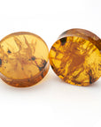 Amber Plugs 41mm (1-5/8")