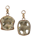 Pyrite Ammonites