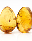 Amber Plugs