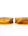 Amber Plugs