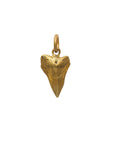 Singular Tooth Pendant