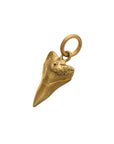 Singular Tooth Pendant