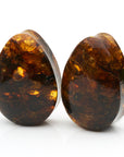 Chiapas Amber Teardrop Plugs