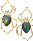Labradorite Arachnid