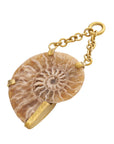 Floating Ammonites with Sunstone