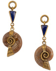 Lapis Madagascar Ammonites