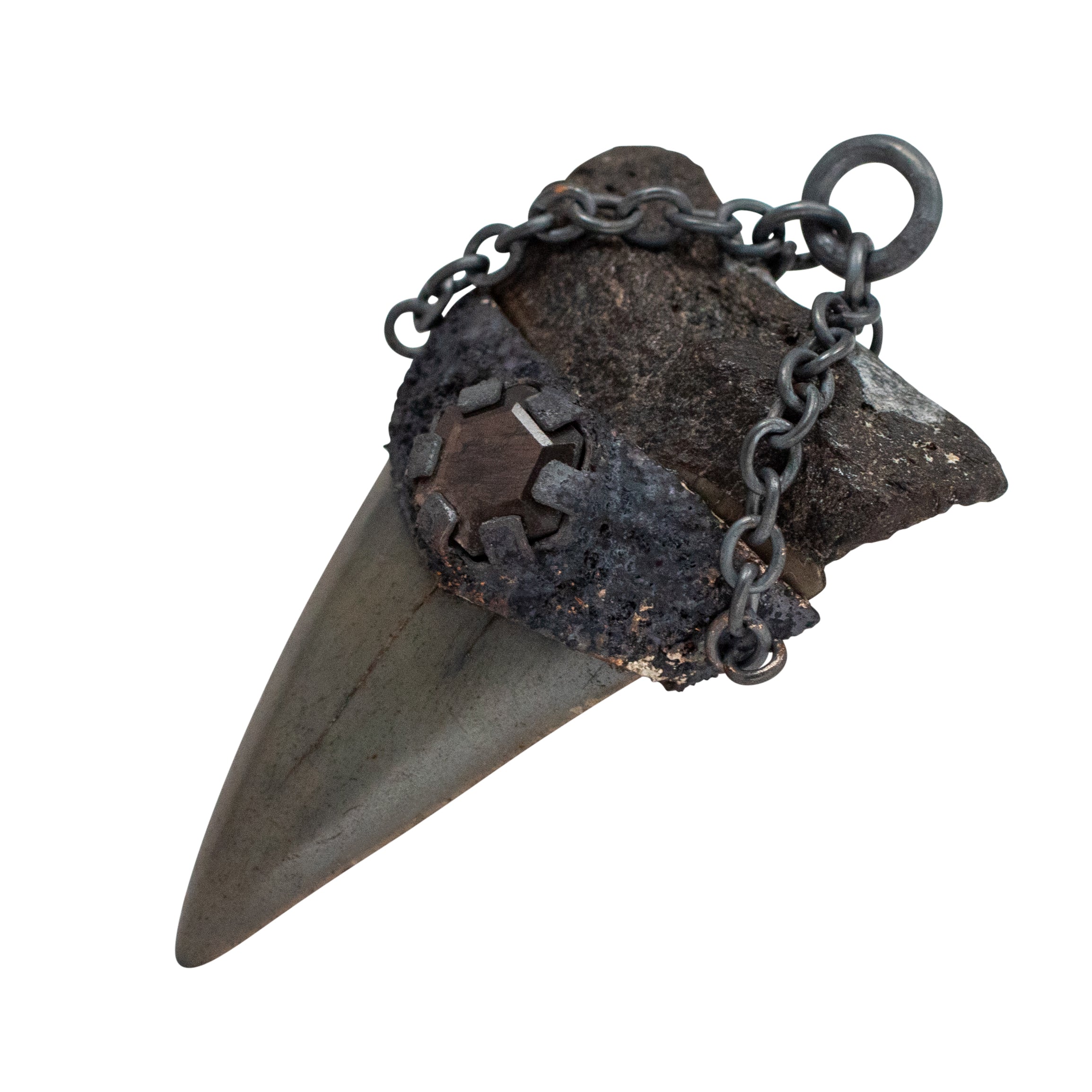 Oxidized Sterling Silver Megalodon Ear Weights with Black Sapphires
