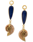 Lapis Madagascar Ammonites