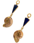 Lapis Madagascar Ammonites