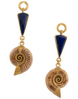 Lapis Madagascar Ammonites