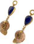 Lapis Madagascar Ammonites