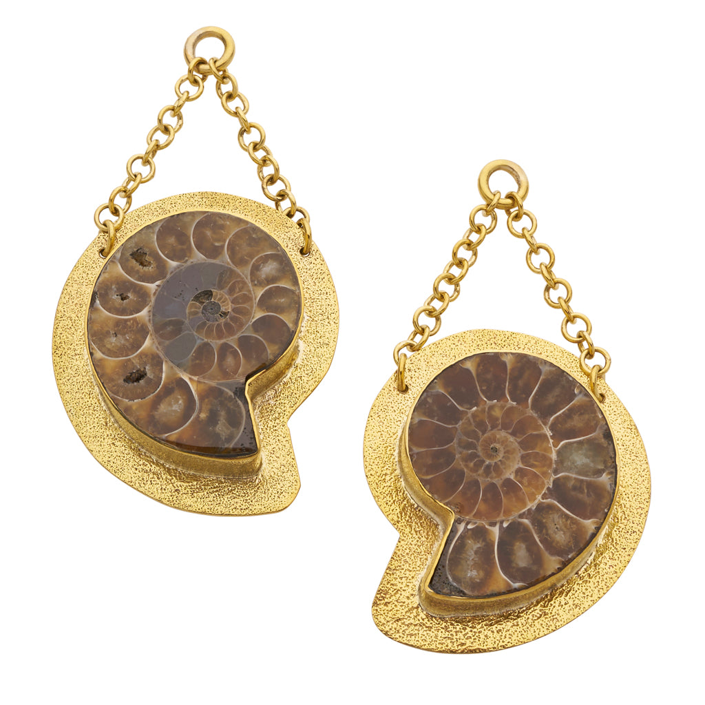 Ammonites 34-60mm