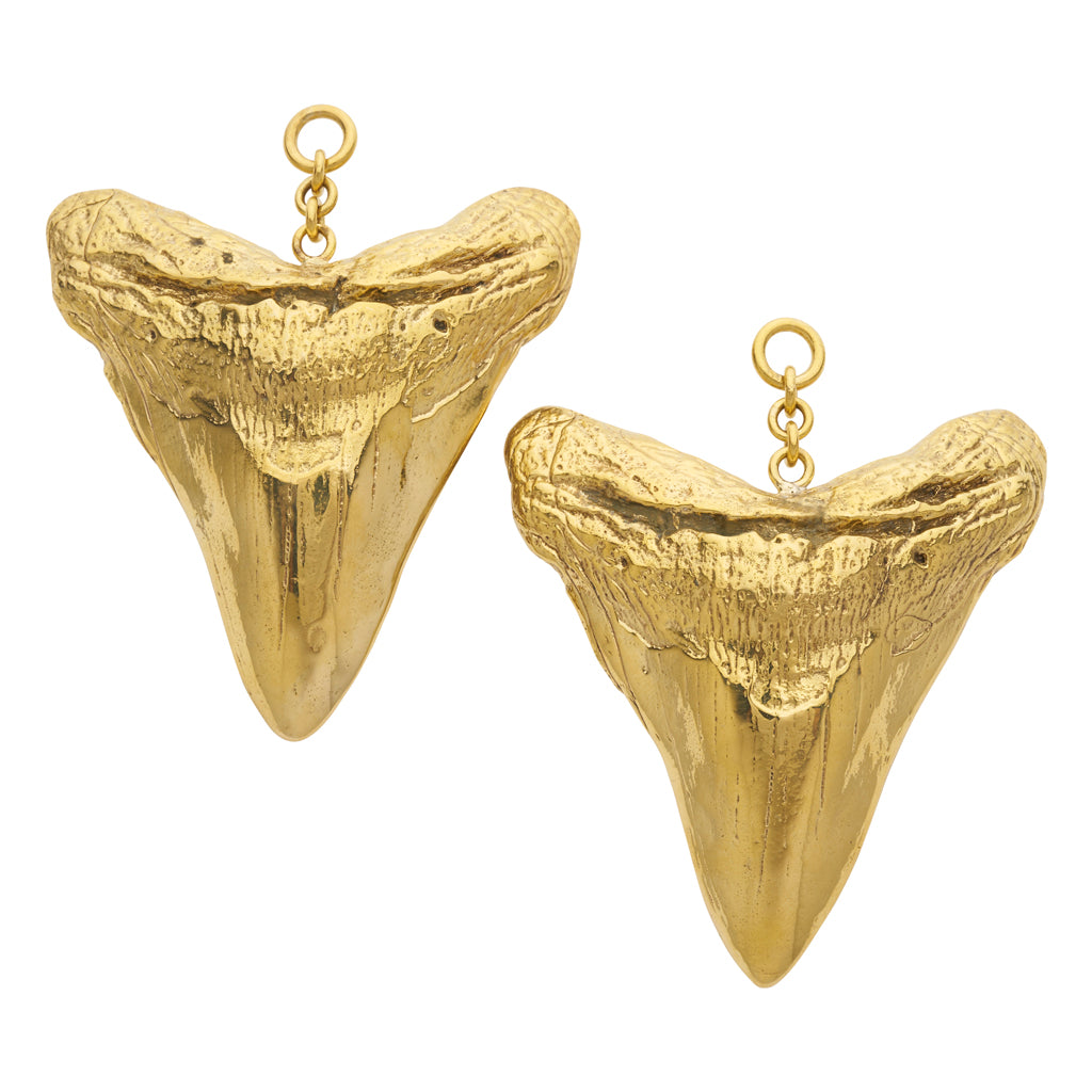 Large Shark Tooth Weights