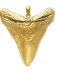 Large Tooth Pendant