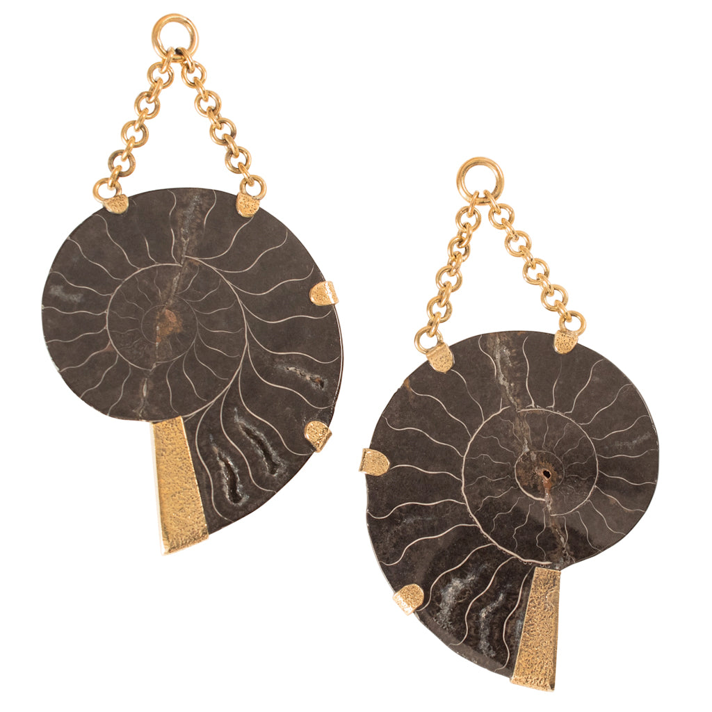 Faceted Black Obsidian &amp; Black Floating Ammonites 50-60mm