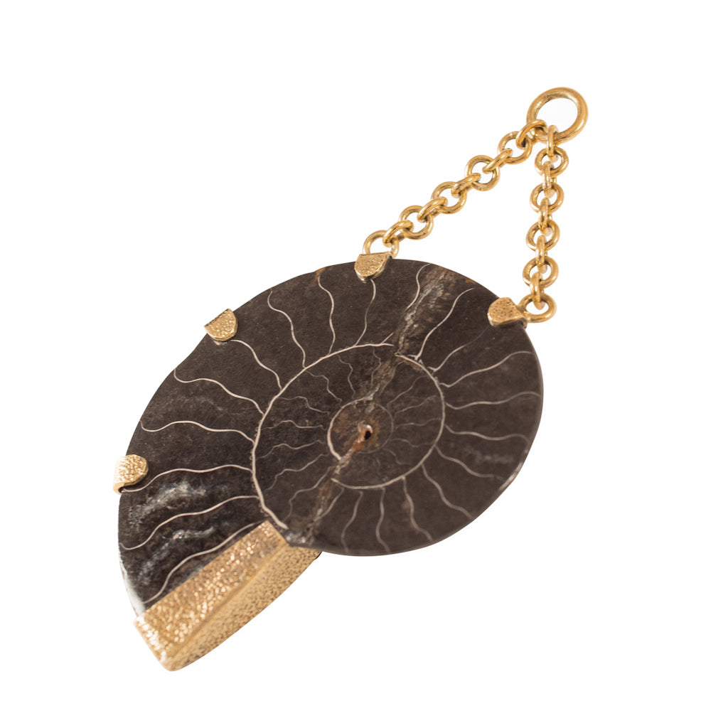 Faceted Black Obsidian &amp; Black Floating Ammonites 50-60mm
