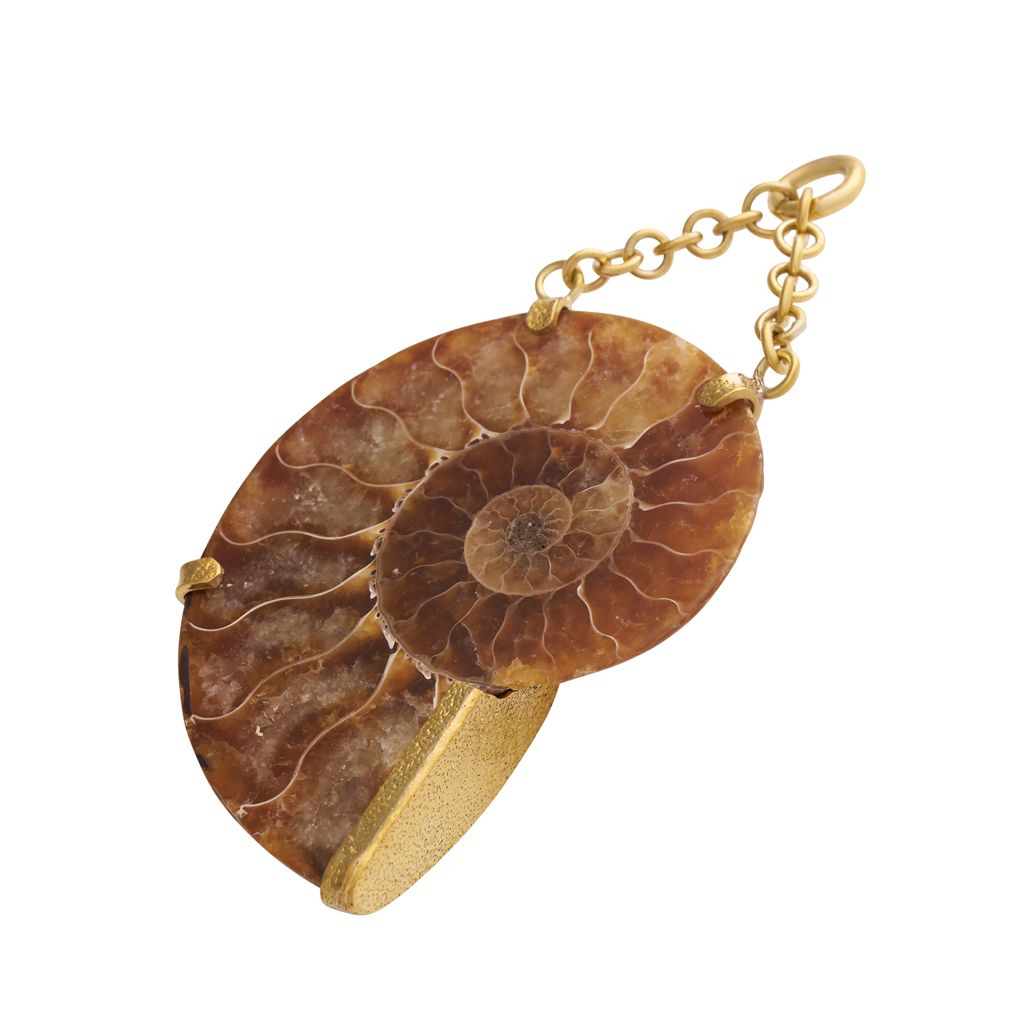 Floating Ammonites with Sunstone