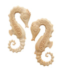 Fossilized Mammoth Seahorse Ear Weights